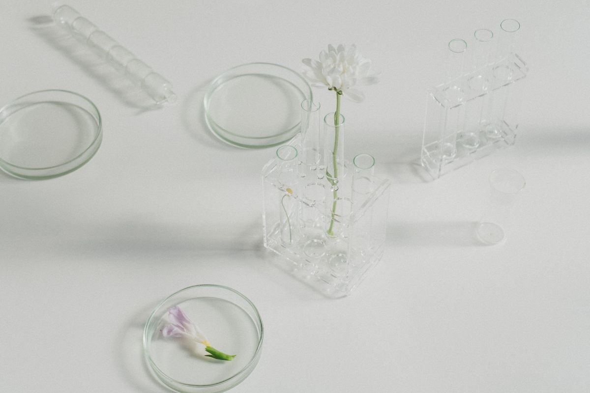Routine skincare minimaliste : la méthode en 5 étapes
