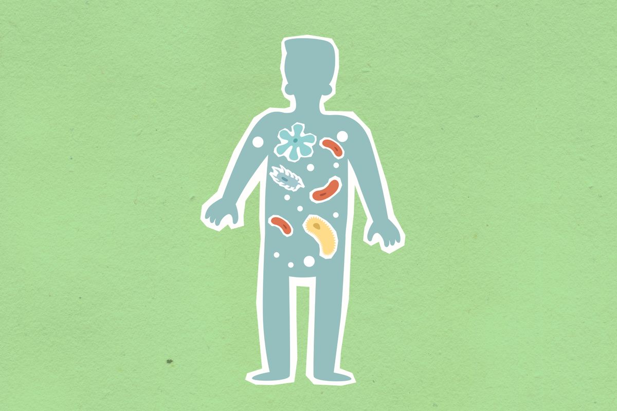 Microbiote : comment le rééquilibrer durablement - Comprendre le rôle du microbiote intestinal
